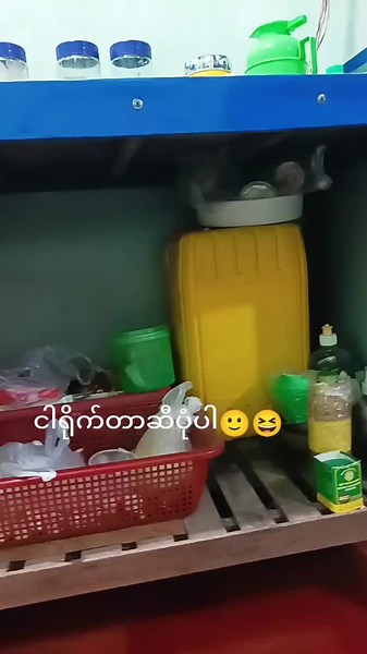 Storage Area Organization Ideas for Your Pantry