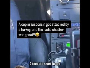 🦃 Turkey Attacks Cop Car?! Wisconsin Trooper vs Feathered Foe | Radio Dispatch Mayhem