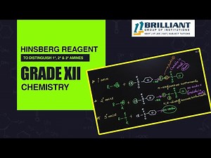 CBSE Class 12 Chemistry Hinsberg Reagent | Hinsberg Test | Primary, Secondary and Tertiary Amines