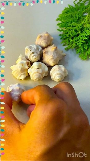 DIY Christmas Tree Magic: Transform Seashells into Jaw-Dropping Holiday Decor🌊🎄✨