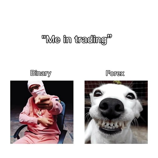 Binary Traders vs. Forex Traders 😂