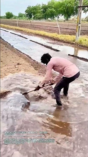 溝の縁に鍬で口を開け、土を積み上げて水を田んぼへ導く：簡易な灌漑用水路の分水作業