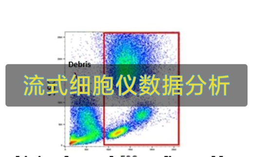 流式细胞仪详细讲解及数据处理分析