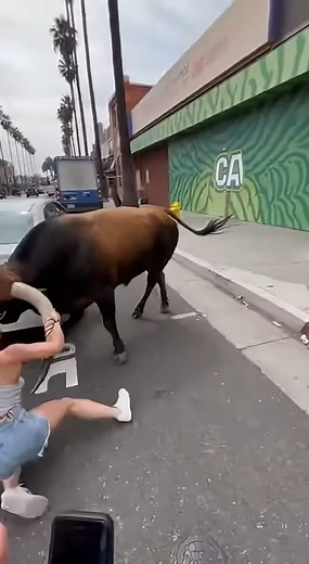 1.9M views · 6.3K reactions | The world is different today; the young man was filming with his cell phone instead of helping the woman. | Artificial Creation | Facebook