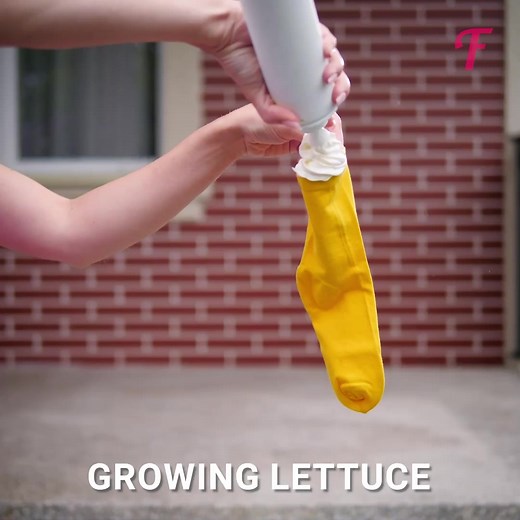 13K views · 30 reactions | Uncommon gardening tips for your plants | Tips & Tricks | Facebook