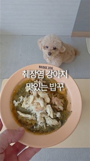 Meal Prep for a Dog with Pancreatitis #DogPancreatitisDiet #DogNaturalFood #Dog #CuteDog #Puppy #...