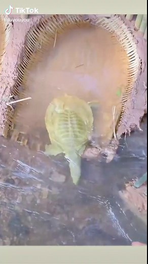 #fyp #foryou #indonesia #fishing #ikan #menangkapikan #seaside