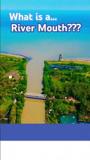 🏞️ What is a River Mouth? What are River Mouths? River Mouth Explained #rivermouth #river #rivers