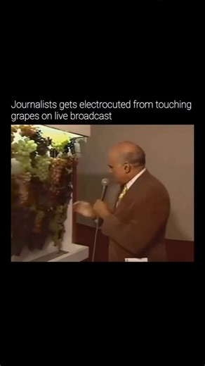 @historicaldiarys | Lasier Martins, a Brazilian journalist who later became a senator, was electrocuted during a live TV broadcast in 1996 at the Festa da Uva... | Instagram