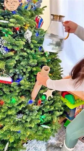 How to water your Christmas tree
