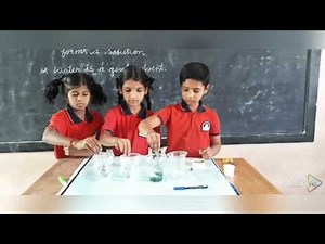 Experiment on soluble and insoluble substances