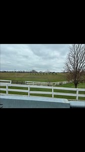 Laid Back Country Picker on Reels