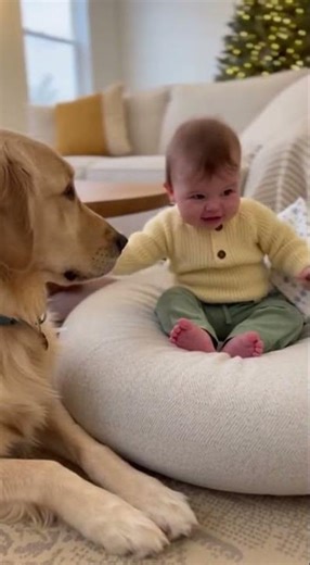 INSTANT MOOD BOOSTER! 🤩 Baby's Belly Laugh When the Dog Barks! 2025 #petlovers #babylaughshard #fun