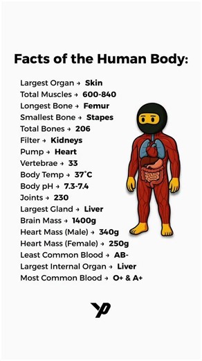 99% of People Don't Know These Human Body Facts 🤯🧠