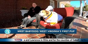 Meet Baby Dog: West Virginia’s First Pup