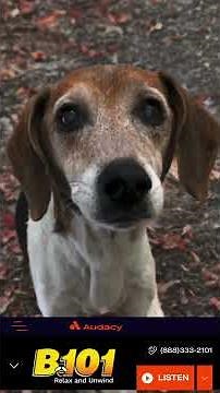 b101.1 Philadelphia radio spot