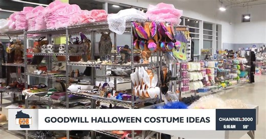 In the 608: Goodwill offers budget-friendly Halloween costume ideas for 2025