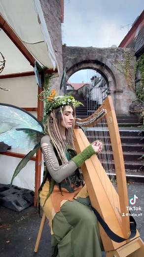 Performing as Kaija Elfenfee🍂🍁🍄‍🟫#fairy #faerie #harp #celticharp #fantasy #fairytale #celtic #folk #folkmusic | Kaija Anne