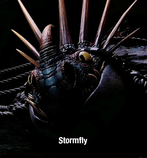 Stormfly x Night Fury Flying - HTTYD Dragons Rescue Team