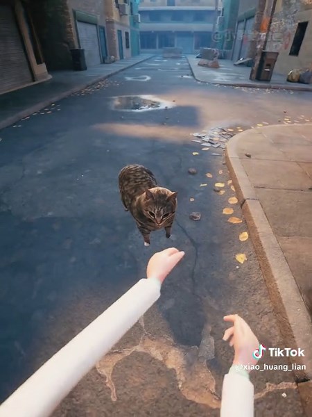 Exploring the OIIAOIIA Meme: A Closer Look