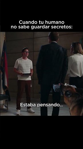 ¡Rex está listo para resolver otro caso! 🐶🔎 | Hudson & Rex | AXN Latinoamérica