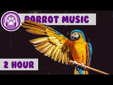 Parrot Music - Music to Relax Your Parrot FAST!