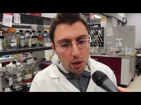 A day in the life of the Ask Lab