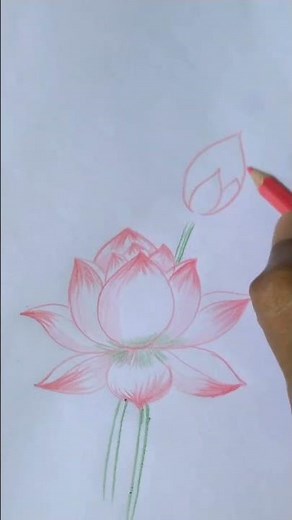 The Art of Lotus: A Step-by-Step Drawing Guide