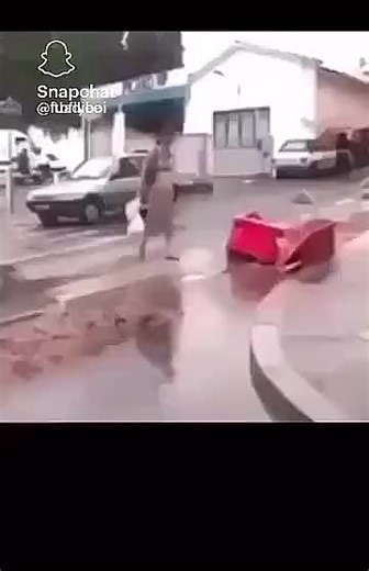 COPY CAT (@copy.cat51)’s videos with original sound - COPY CAT