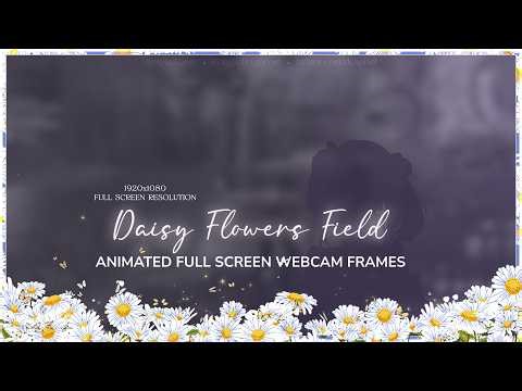 Daisy Flowers Field – Full Screen Animated Webcam Frames for Twitch, OBS & VTubers