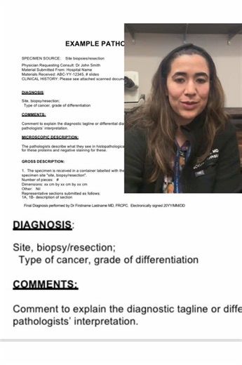 Exploring the Parts of a Pathology Report