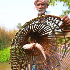 330K views · 4K reactions | Traditional fishing techniques | grandpa fishing very old process | | Indian tribe food | Facebook