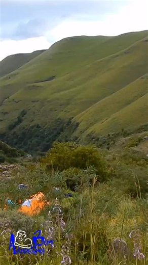 145 reactions · 13 shares | Wild camping in the Drakensberg #hiking #wild camp #drakensberg #adventure #hireaguide #guide #bergadventures | Berg Adventures | Facebook