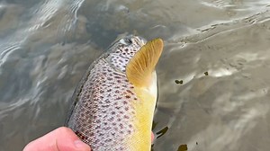 Who's out fishing this weekend? 🎣 www.anglingactive.co.uk | Angling Active