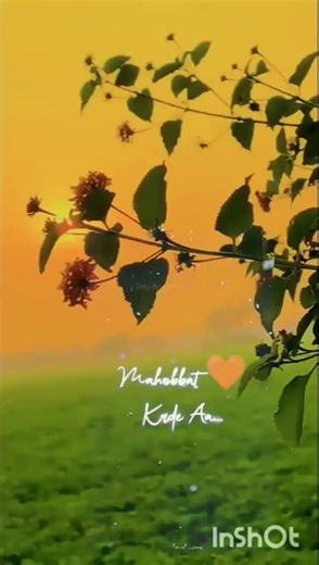 beliya song status #trendingshort #viralsong #status