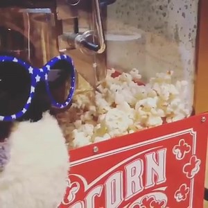 33 reactions | Rufes has an important job to do today: Test out the...