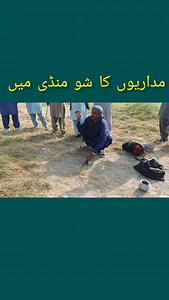 آج پھر مداریوں نے محفل جما دی — لوگ ہنسی سے لوٹ پوٹ (پارٹ 3)" #Bahawalpur #FiazAhmedYT #FatehPul #Hasilpur #منڈی #مداری #تماشا #پارٹ3 #ہنسی_مزاح #کلچر #گاؤں_کی_زندگی #VillageLife #PakistanCulture | Fiaz Ahmed YT