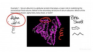 Naming an Element of a Protein Secondary Structure from a Description | Chemistry