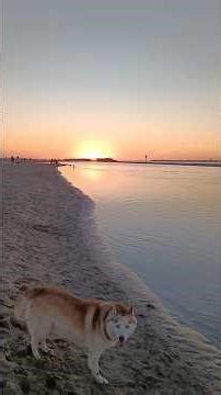 Sunset with Ruby 03/18/2026