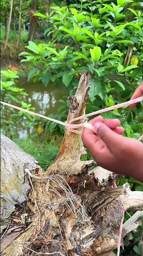 Brillian rope knots #shorts #knots #diy