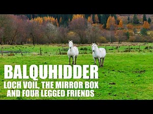 Balquhidder, Loch Voil, the mirrored box & some four legged friends.