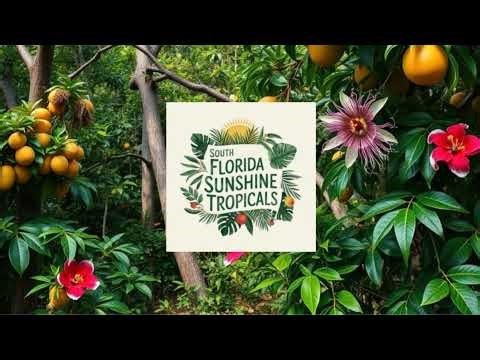 Why Your Garden Soil Isn’t Working (Even with ‘Good’ Bagged Soil)