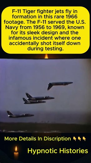 Rare 1966 Footage of F-11 Tiger Jets in Formation Flight