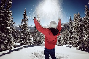 Transfer Application Steps Part 2/5 – Transfer Plans