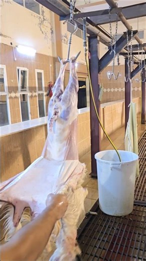 How to fast goat skinnng by Butcher skills #amazing #shortsfeed #viralvideo