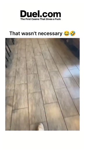 the.sarcastic.entertainment on Instagram: "A “not necessary” moment is one of those instances where something happens or is said that feels completely optional, exaggerated, or over-the-top—an action or comment that wasn’t really needed but happens anyway, often leading to humor, mild annoyance, or disbelief. It could be a friend overexplaining a simple concept, someone making a dramatic gesture for a tiny task, or adding unnecessary flair to a story or situation just to stand out. For example, 