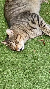 1K views · 2.5K reactions | So today’s post is a little different...