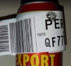 Earn Money Delivering Lost Luggage for Delta - View from the Wing