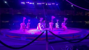 Royal Hanneford Circus opening 2025. A circus version of the original song “Shut up and Dance” | Circus Fans Association of America