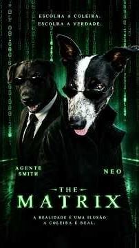 The Matrix Animal 🥷🐶. #pets #matrix #dog #cachorro #parodia